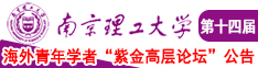 美女大胸啊爽歪歪歪啊射了南京理工大学第十四届海外青年学者紫金论坛诚邀海内外英才！